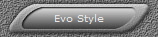 Evo Style